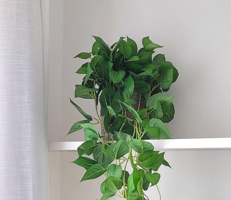 Hospedagem perto Shopping, Hospital Unimed, Iguatemi, Fatesa