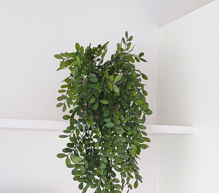 Hospedagem perto Shopping, Hospital Unimed, Iguatemi, Fatesa