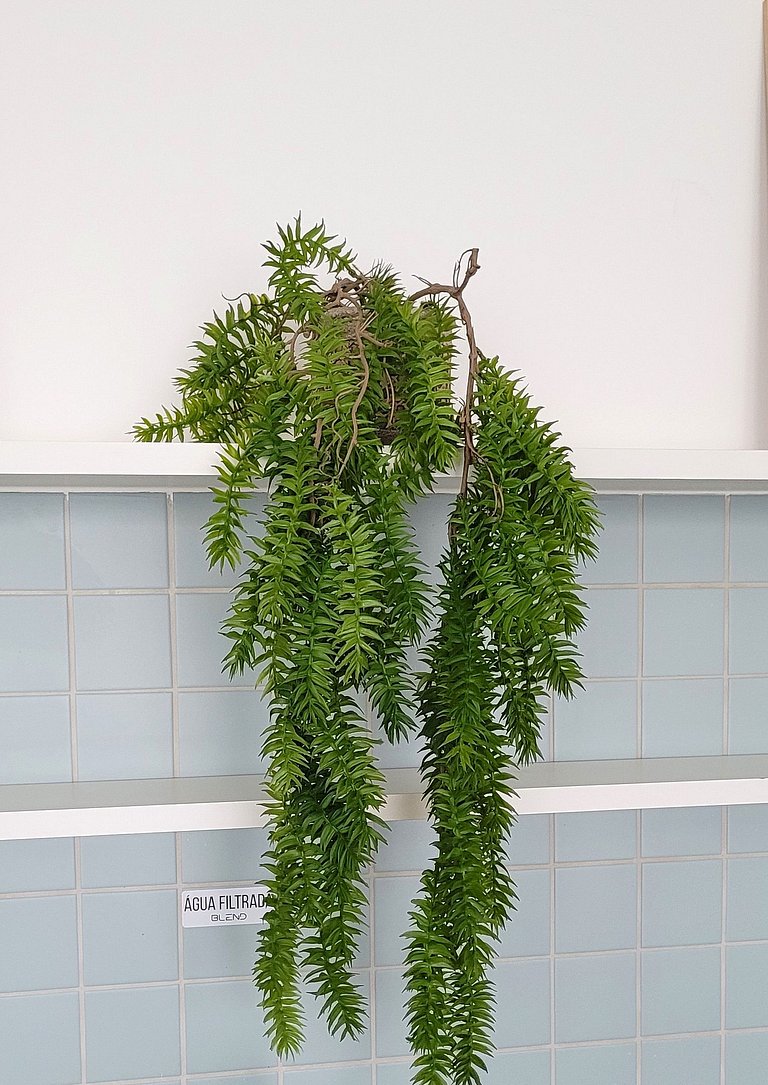 Blend Nova Aliança Sul, Shopping Iguatemi, Hospital Unimed