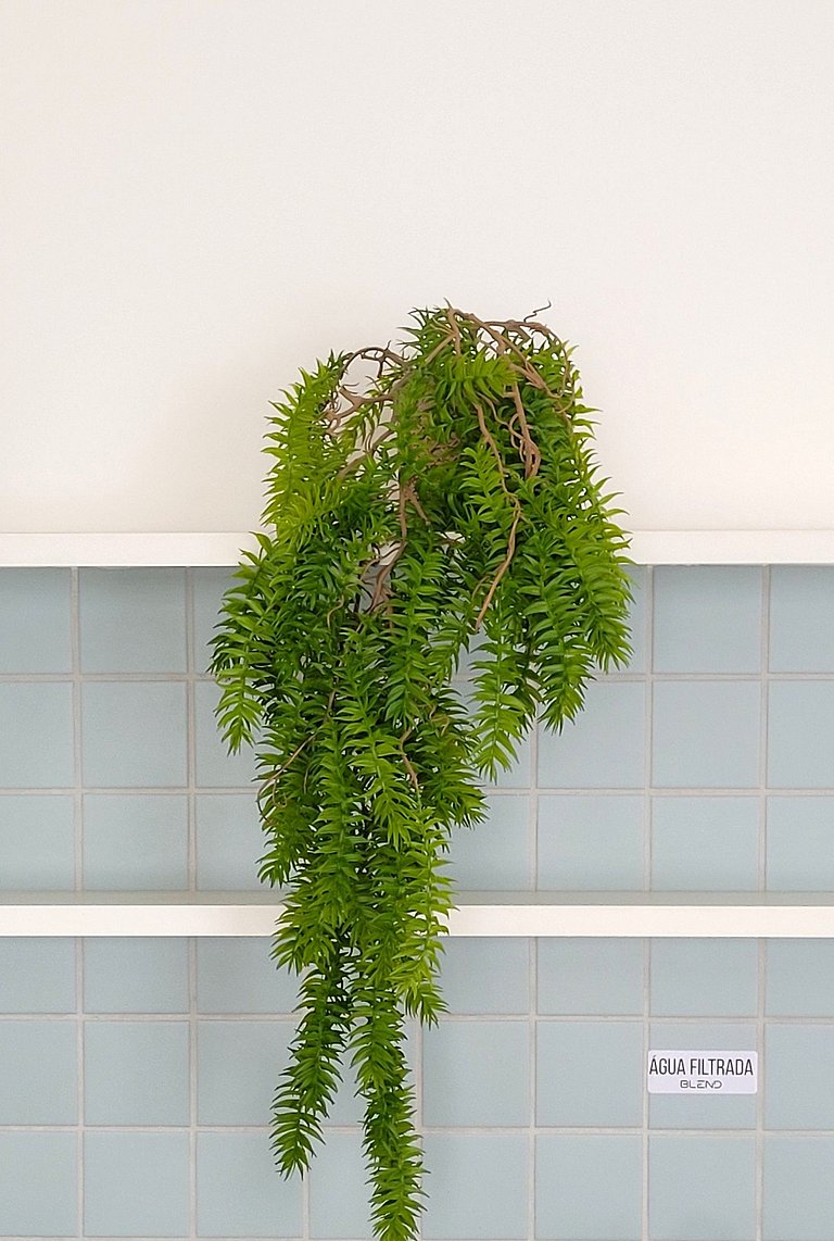 Flat - Alugar perto do Shopping, Hospital Unimed, Fatesa