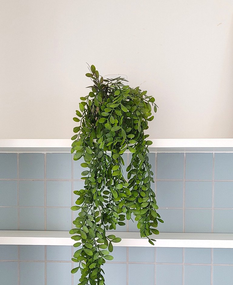 Blend Coliving One - Hospedagem em Ribeirão Preto